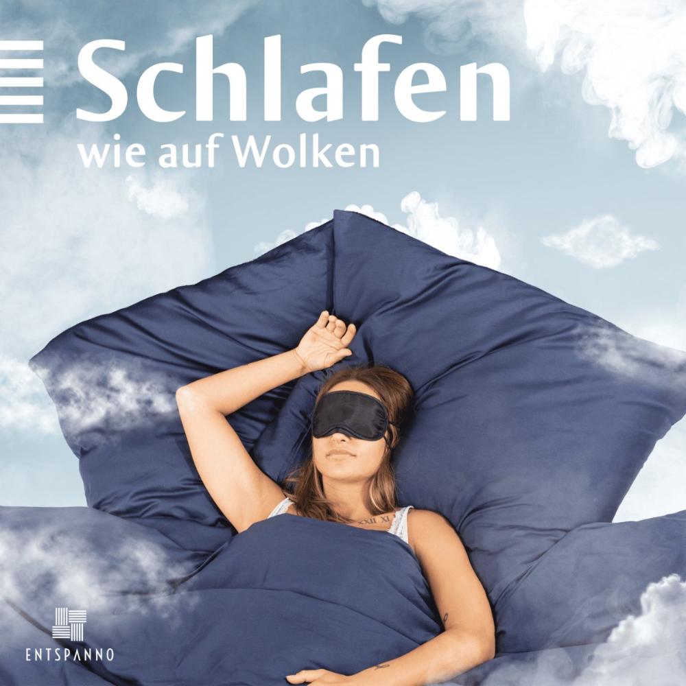 Luxus Baumwolle-Satin Bettwäsche Kissenbezug -